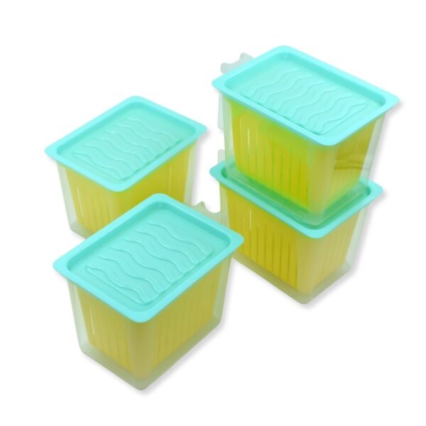 2image_c42eed32-2331-4b70-b19a-a148d90818a4.jpg Fridge Storage Containers with Handle – Plastic Kitchen Storage (4 Pcs Set)