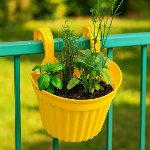 Multicolor Hanging Plastic Planters Orchid Relling , For Plantation,(1pc)