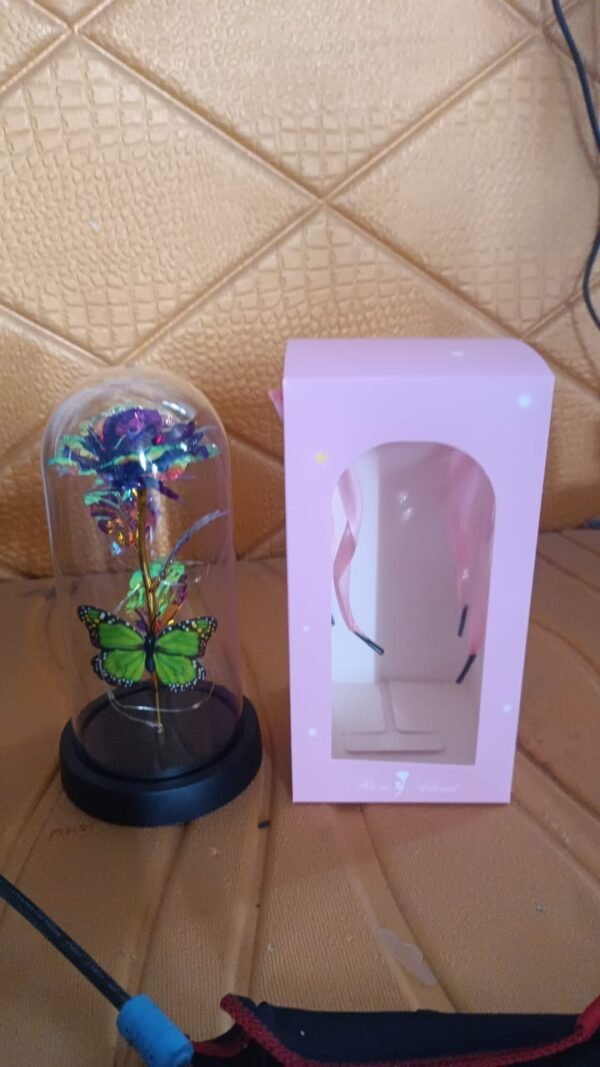 380c8f34-1132-4a91-9f58-8575b9dba6d9.jpg LED Preserved Rose with Colorful Butterfly in Plastic Dome (1 Pc & Mix Color)