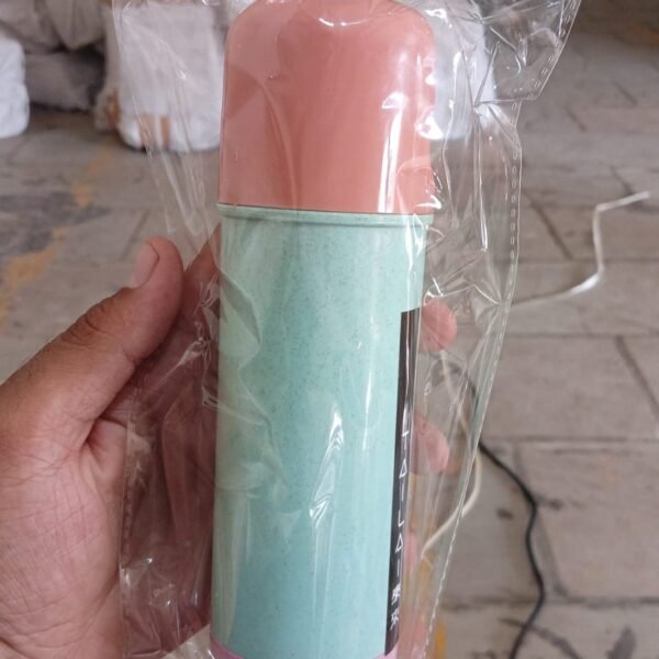 Portable Water Bottle (300 ML Approx / Mix Colors / Design)