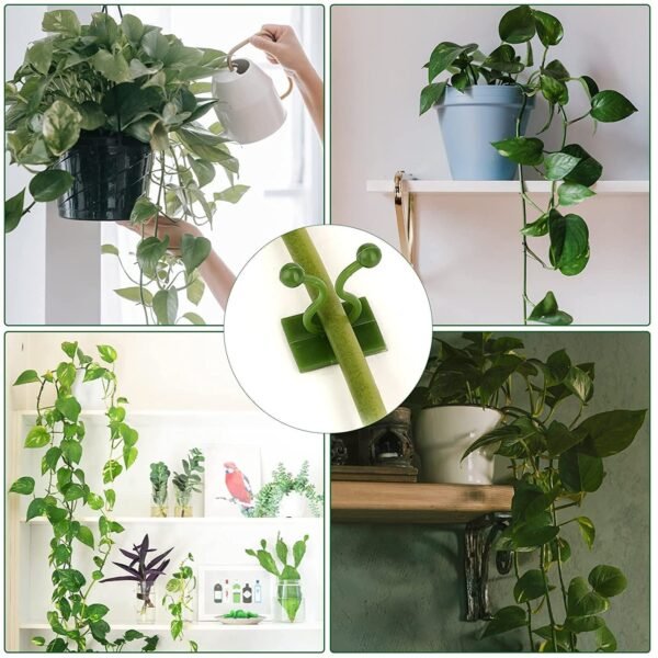 30pcs wall Plant Climbing Clip widely (Box/30 Pcs Set)