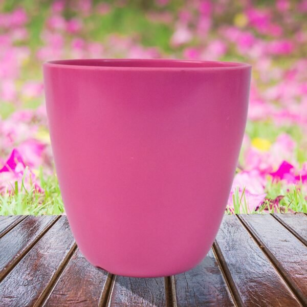 3_2f7c9bcf-d2ee-4ae2-92e0-2c23e05e158c.jpg Plastic Flower Valencia (Pot) Home and Outdoor (1 Pc/Mix Colour)