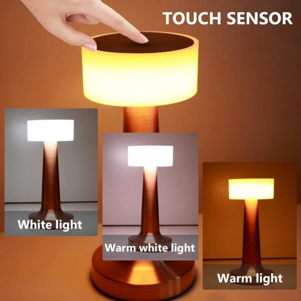 LED Lamp with Touch Control | Decorative Desk Lamp (1 Pc)