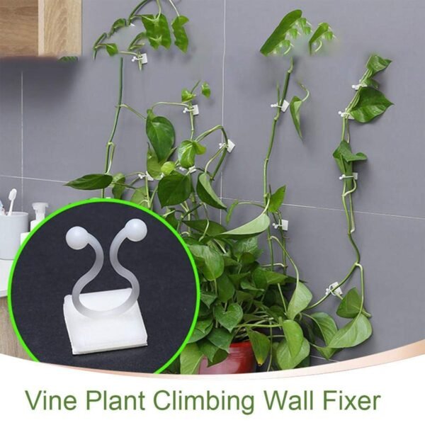 Wall Plant Climbing Clips for Plants and Poultry – 30 Pcs Set