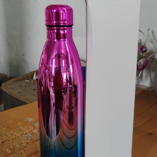Stainless Steel Water Bottle (Approx 1000ML / 1 Pc)