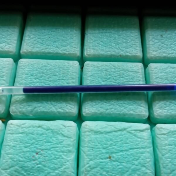 Blue Pen Refill All Round Ball Pen Refill Smooth Writing Pen Refill all (1 Pc)