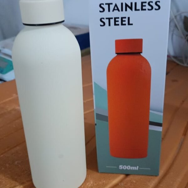 Stainless Steel Double Wall Vacuum-Insulated Drink Water (Mix Color / 500 ML Approx)