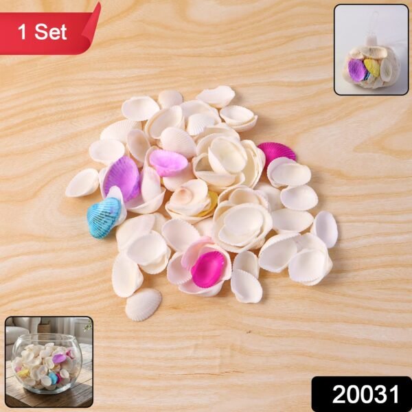 47720031-600Pc-DD_20031-Av-Sv.jpg Decorative Seashells Set (1 Set)