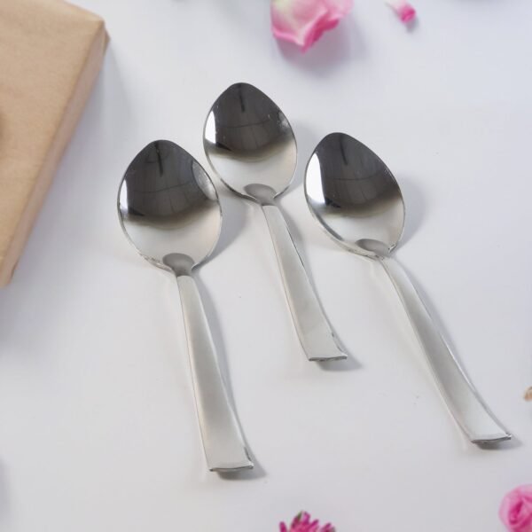 Everyday Dining Spoons - (3 Pc / Set)