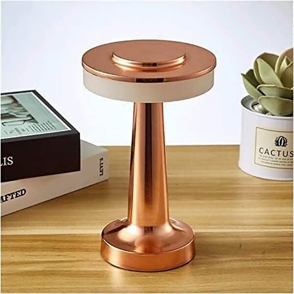 Touch LED Metal Desk Lamp (1 Pc)
