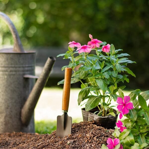 4_71fd329a-2f5d-40e7-a0ac-b636e631cd8d.jpg #1 Gardening Tool Set 4 Pcs – Pruner Shears, Hand Cultivator, Trowel & Fork with Wooden Handle for Planting, Weeding, Pruning & Soil Maintenance, Farming Equipment & Essential Garden Kit