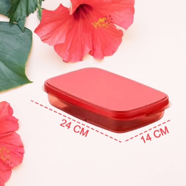 Seal Rectangular 2 Containers Lunch Box