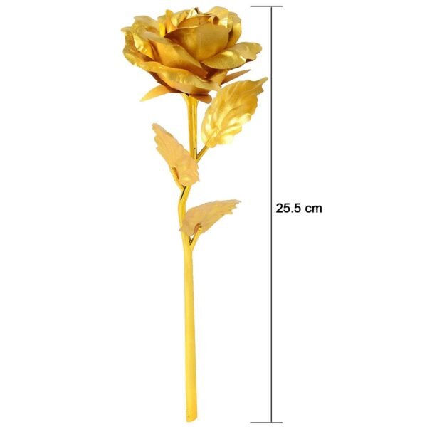 4_95bedfab-9681-489d-b5d4-419259ee304f-1.jpg B Golden Rose is perfect for decorating homes, offices, cafes (3 Pc Set)