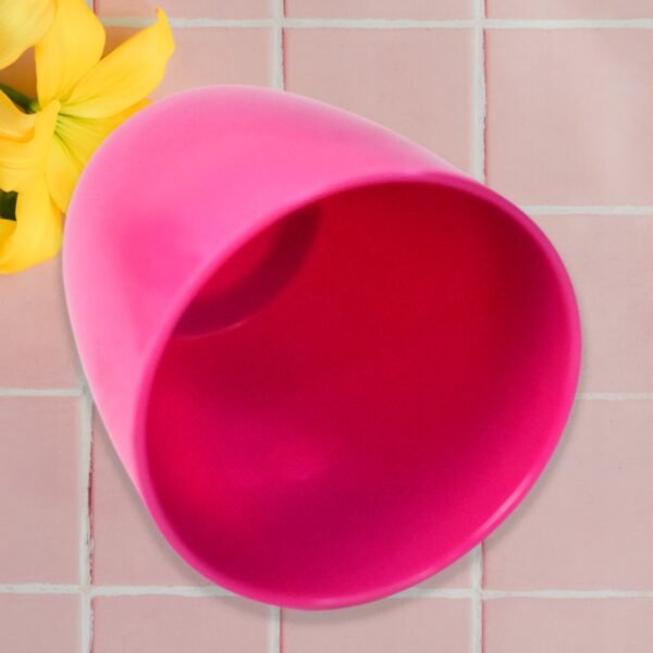4_cbe3dd0a-9fe7-4b4c-8866-1ec38f855386.jpg Plastic Flower Valencia (Pot) Home and Outdoor (1 Pc/Mix Colour)