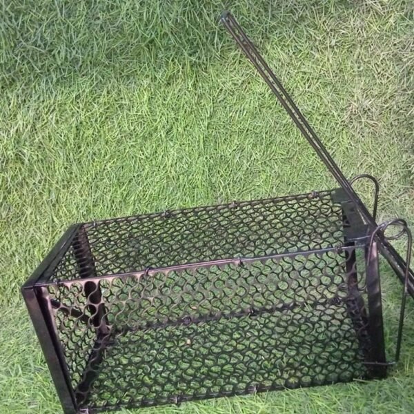 Live Mouse Trap – Easy Catch & Release Cage Mice, Squirrels, Voles & Hamsters