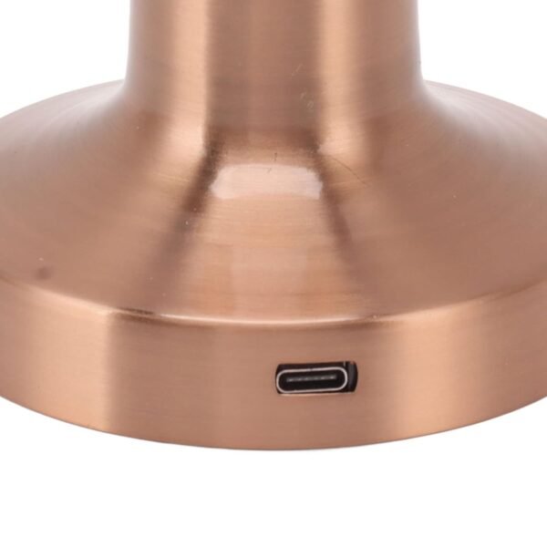 Decorative Desk Lamp (1 Pc)