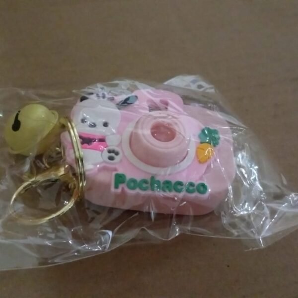 53fceaf4-af8f-4bb8-9e61-4c9f1d2c7f64_31fc4d6d-c69c-4864-81ed-1870f94aa2c2.jpg Projective Camera Keychain (1 Pc / Mix design)