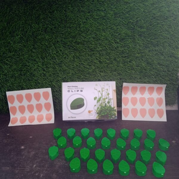 Plant Climbing Wall Fixture Clip (30 Pcs Set)