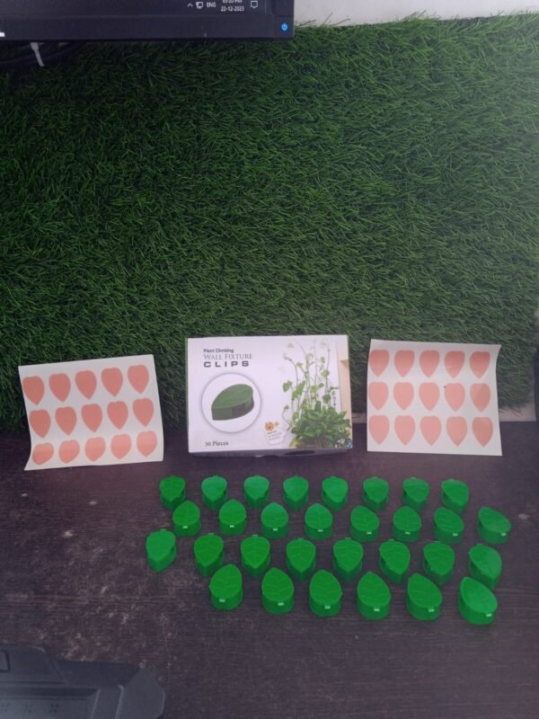 Plant Climbing Wall Fixture Clip (30 Pcs Set)