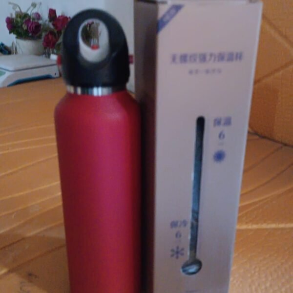 Vacuum Insulated Stainless Steel Water Bottle (630 ML)