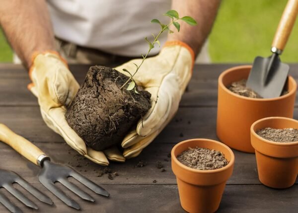 5_517fa927-d58b-4b6b-9e56-f78d71716a2c.jpg #1 Gardening Tool Set 4 Pcs – Pruner Shears, Hand Cultivator, Trowel & Fork with Wooden Handle for Planting, Weeding, Pruning & Soil Maintenance, Farming Equipment & Essential Garden Kit