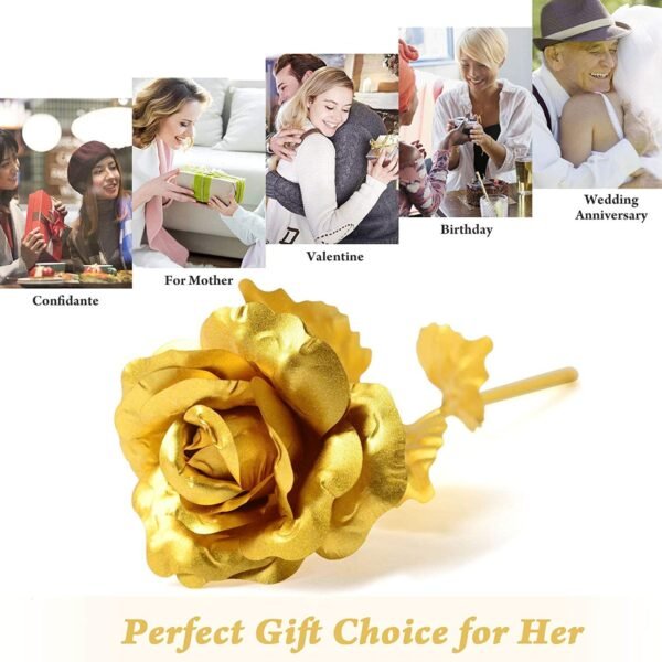 5_54443c70-8057-4595-96d6-85840ba0817c.jpg B Golden Rose is perfect for decorating homes, offices, cafes (3 Pc Set)