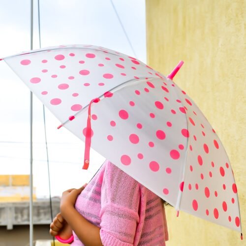 5_a343043d-ed41-4980-9484-9762a1a51f7a.jpg Dot Printed Umbrella for Men and Women Multicolor