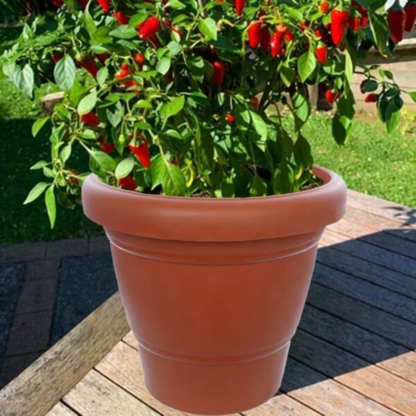 5_b719176c-6d7b-40d1-a259-5ae299dfb38c.jpg Garden Heavy Plastic Planter Pot / Gamla 6 inch (Brown, Pack of 1, Small)