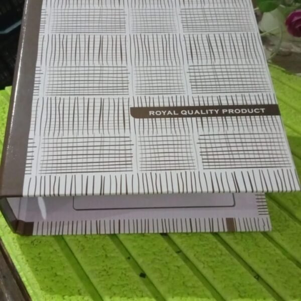 Office Lever Arch Binder Box File Organizer for Documents (35×27 Cm, 1 Pc)