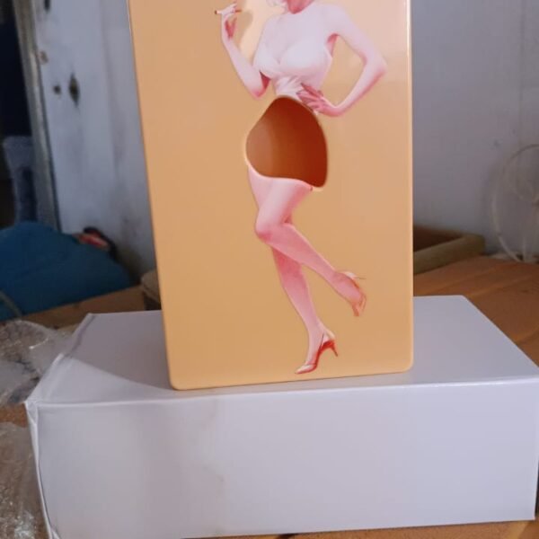 Plastic Creative Tissue Dispenser Box (1 Pc)