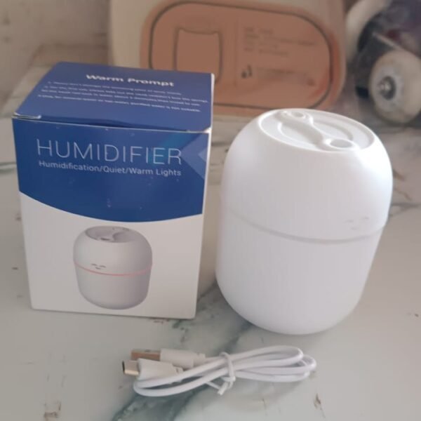 Portable Mini USB Humidifier with Light – Cool Mist & Essential Oil Diffuser (250ML)