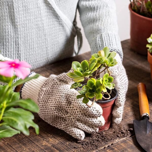 6_636dfaf2-a6a7-4a4b-839d-b3ee688fcb13.jpg #1 Gardening Tool Set 4 Pcs – Pruner Shears, Hand Cultivator, Trowel & Fork with Wooden Handle for Planting, Weeding, Pruning & Soil Maintenance, Farming Equipment & Essential Garden Kit