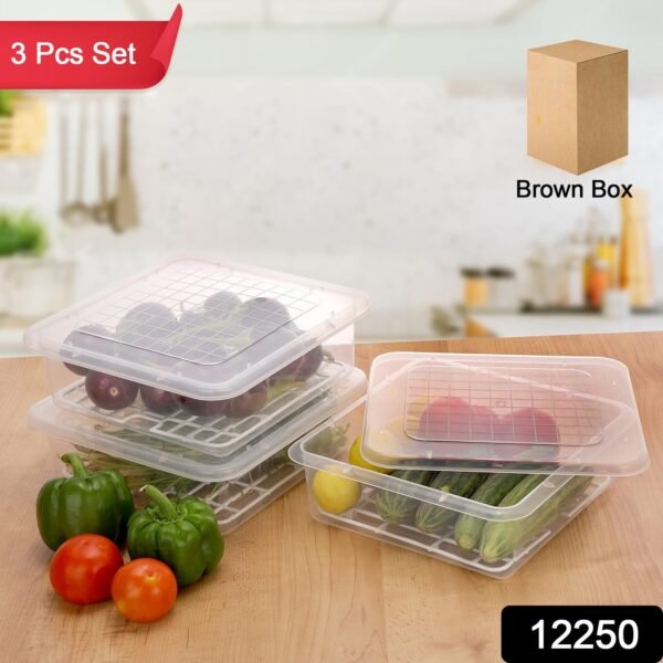 7348Pc-Fishcontainer3pcs-1174Gm.jpg Plastic Food Storage Containers with Removable Drain Tray and Lid (3 Pcs Set)