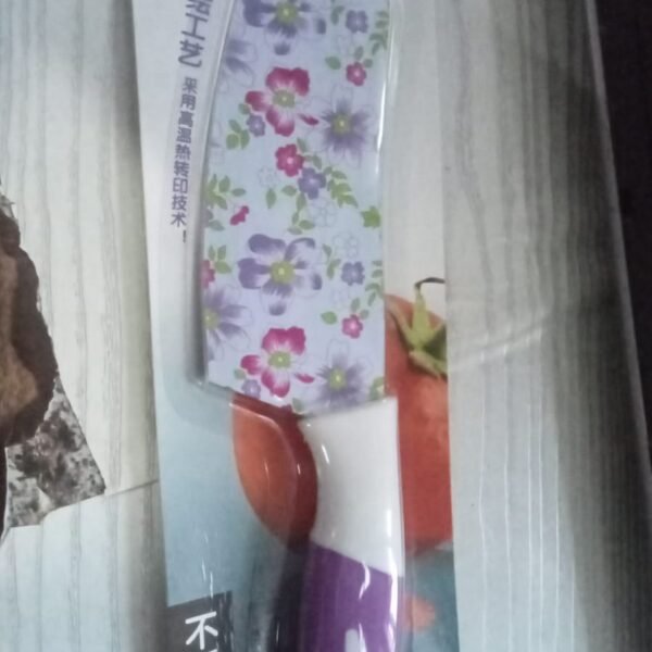 Stainless Steel Chef Knife 9 Inch – Anti-Rust Sharp Kitchen Knife