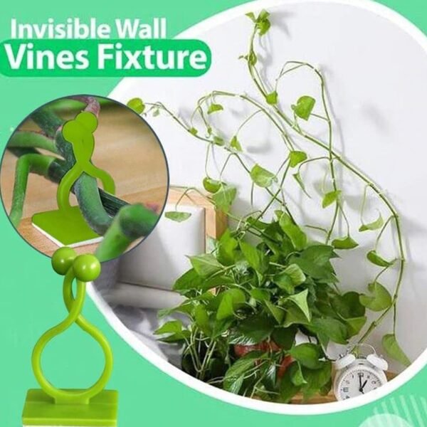 30pcs wall Plant Climbing Clip widely (Box/30 Pcs Set)