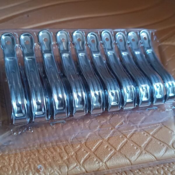 Stainless Steel Clothes pins Beach Towel Clips (10 Pcs Set)