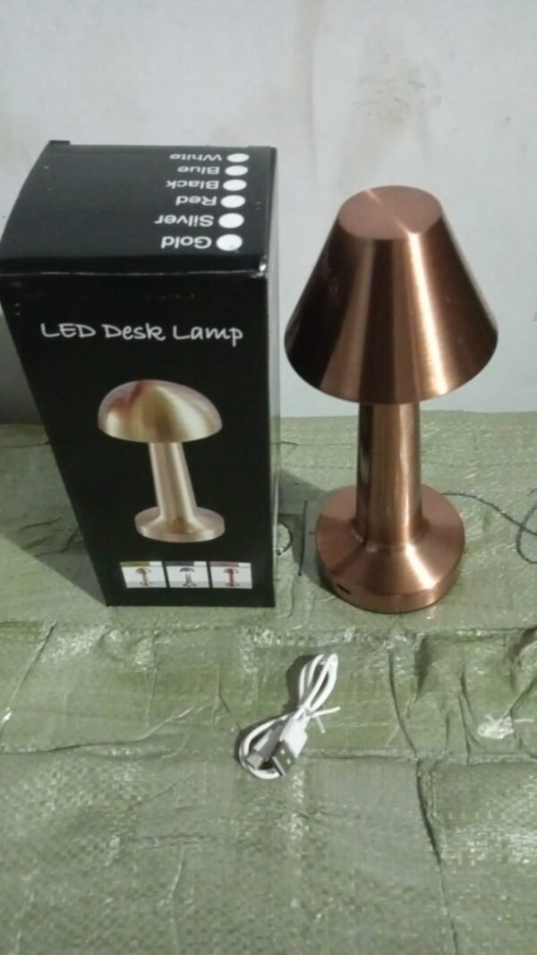 Decorative Desk Lamp (1 Pc)