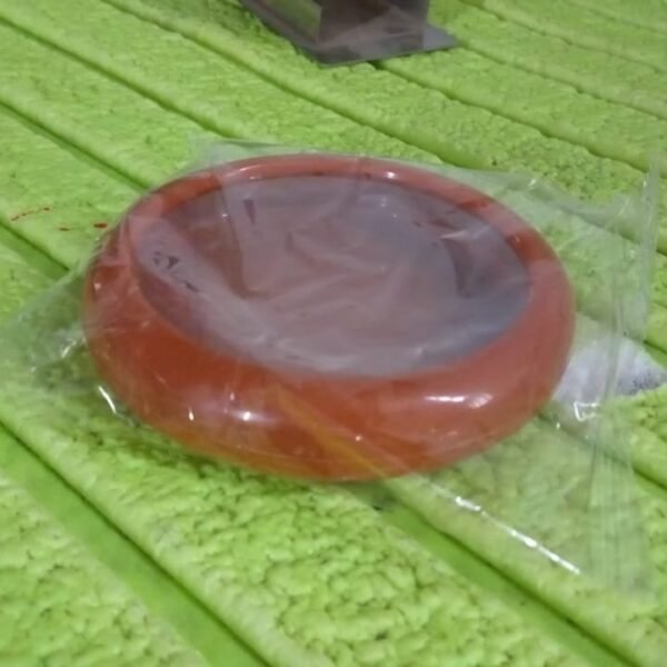 8fdf8527-5439-4795-9e61-b1fbb3110f5a.jpg Vegetable Container Premium Fruits Saver Keeper (1 Pc)