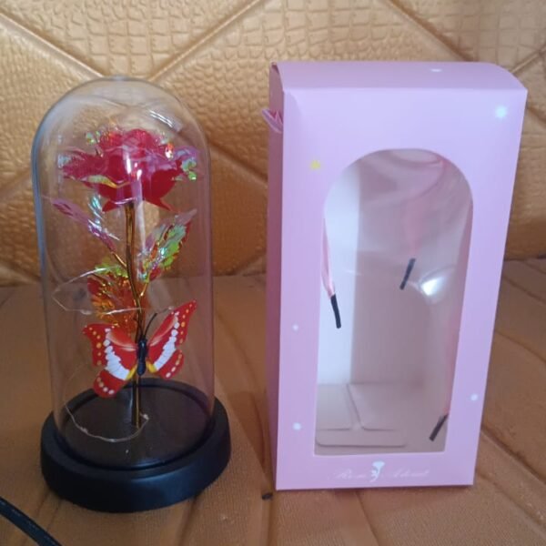Elegant LED Eternal Rose in Plastic Dome (1 Pc / Battery Not included)