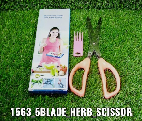 Stainless Steel 5-Blade Herb Scissors
