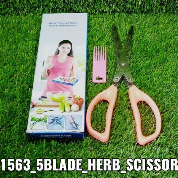 Stainless Steel 5-Blade Herb Scissors