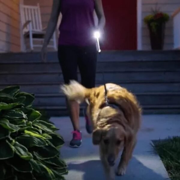 Portable Mini LED Torch High Lumens Compact Pocket Flashlight for Emergency