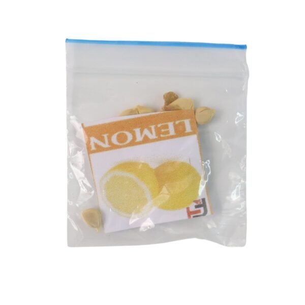 Fruit Seeds Combo Pack - (10 Pc / Set)