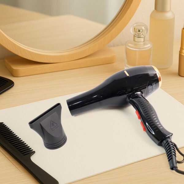 Orbit Professional Electric Hair Dryer with Concentrator Nozzle (1 Pc)