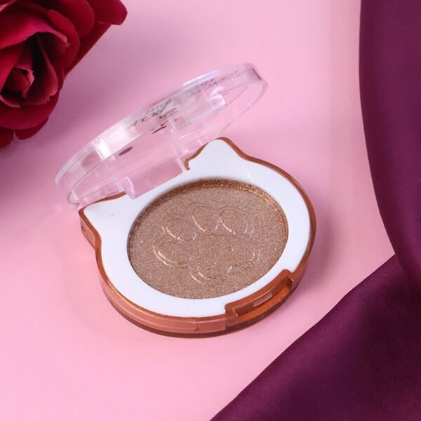 Premium Color Strokes Shimmer Highlighter (1 Pc)