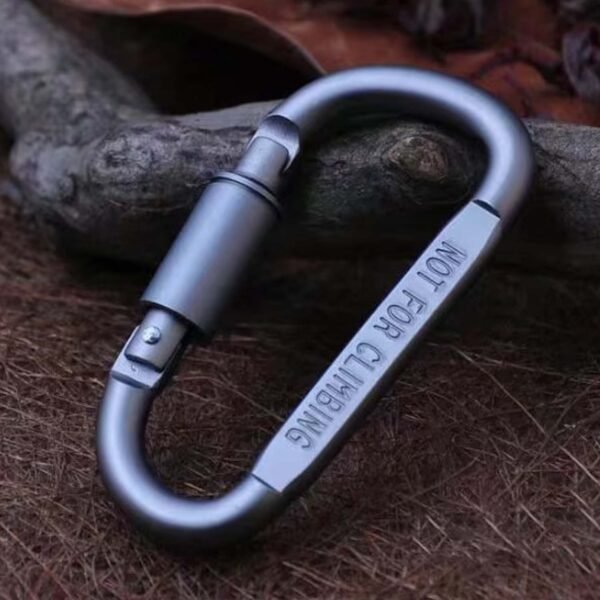 Premium Heavy-Duty Metal Carabiner Hook with Screw Lock (1 Pc)