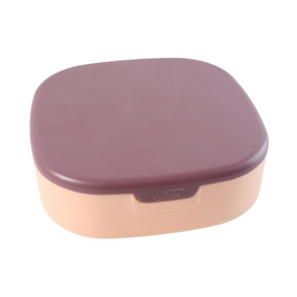 Plastic Jewelry Storage Box with Built-in Mirror & Multi-Section (1 Pc)