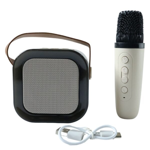 KaraokeSoundsystem-04.jpg B Grade Portable Karaoke Speaker (1 Set)