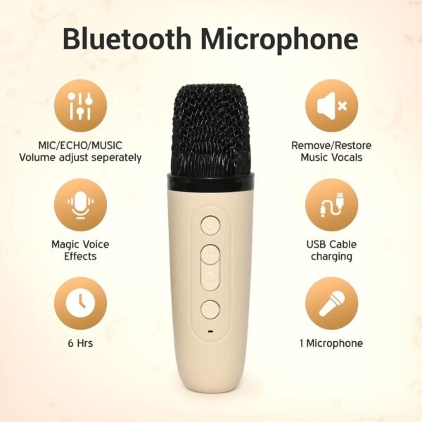 KaraokeSoundsystem-06.jpg B Grade Portable Karaoke Speaker (1 Set)