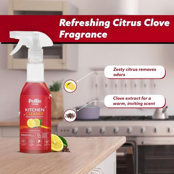 Kitchen-Cleaner-05.jpg Pollic kadam Concentrated Kitchen Surface Cleaner Refill Kit with Spray Bottle